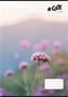 Exercise book A4, squared, 32 sheets, COOL BY VICTORIA, 